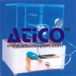 Histamine Chambers
