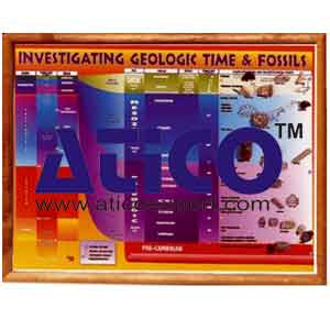 Investigating Geological Time And Fossil...